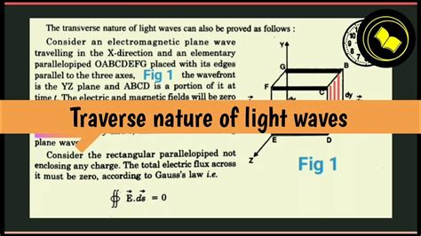 Transverse Nature Of Light Waves Youtube