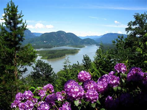 Images Gratuites Paysage Arbre Eau La Nature De Plein Air Fleur