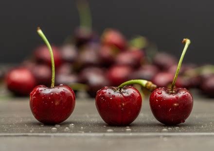 250 Types of cherry Stock Pictures, Editorial Images and Stock Photos ...