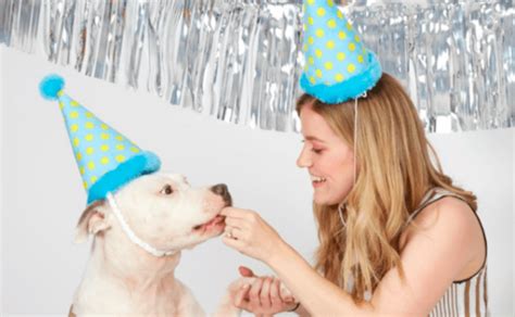 Birthday-Themed Gifts For Dogs