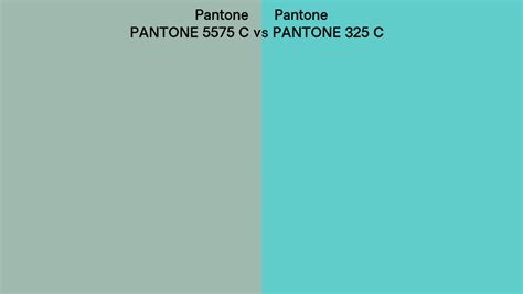 Pantone 5575 C Vs PANTONE 325 C Side By Side Comparison