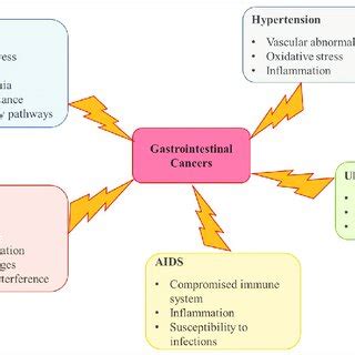 schematic description  consequences  systemic diseases leading