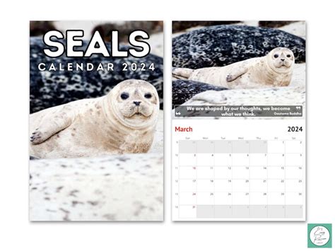 Seals Wall Calendar 2024 Cute T Idea For Seal Lovers Etsy