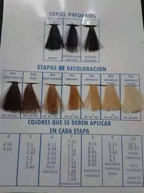 Etapas Decoloraci N Hair Color Techniques Hair Color Formulas Hair