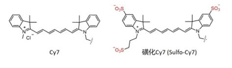 星戈瑞反应中带氨基的荧光 Sulfo Cy7 NHS磺酸CY7标记活性脂