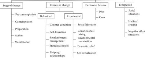 Schematic View Of The Transtheoretical Model Ttm Constructs 56 Download Scientific Diagram