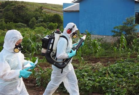 S O Miguel Do Oeste Volta A Registrar Caso De Dengue Ap S Quatro Meses