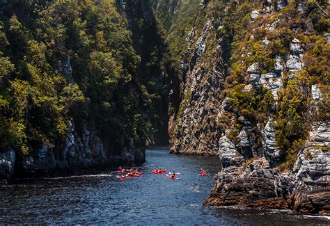 African Safari articles - The Ultimate Guide to Storms River Mouth Restcamp