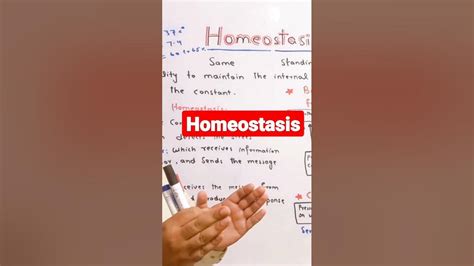 Homeostasis Science Class 12th Biology Shorts One Shot Youtube