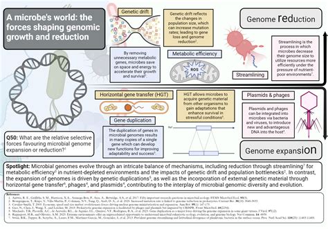 Factors Contributing To Microbial Genome Reduction And Expansion