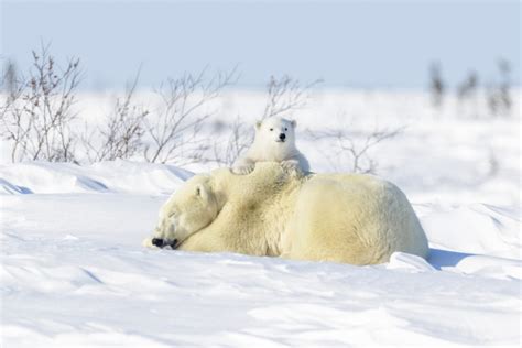 20 Best National Parks In Canada Road Affair