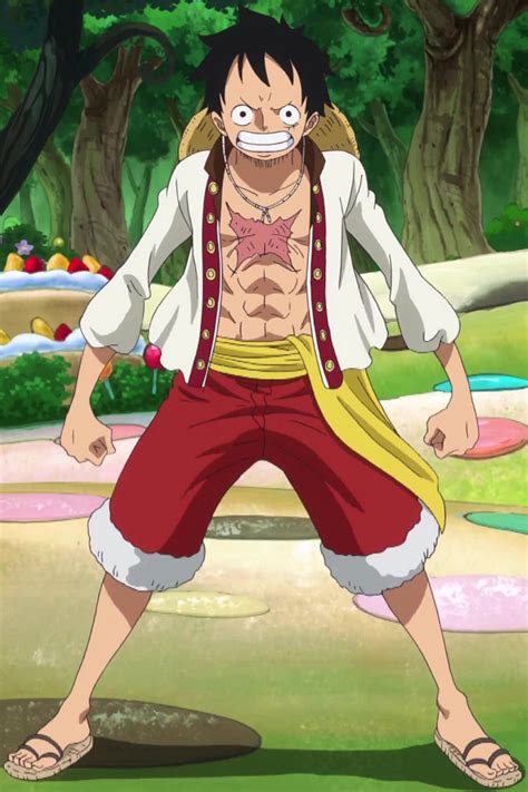 Image - Luffy Whole Cake Island Arc Outfit.png | One Piece Wiki ...