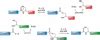 Expressed Protein Ligation EPL