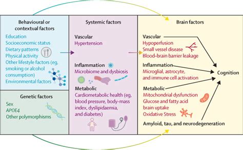 Nutrition State Of Science And Dementia Prevention Recommendations Of