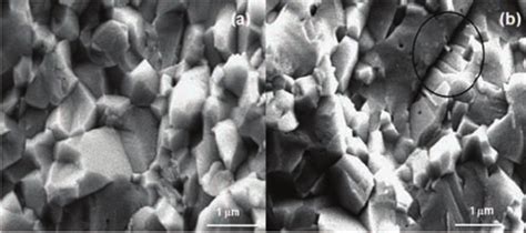 Sem Micrographs Of The Fracture Surface A Monolithic Al 2 O 3 And B