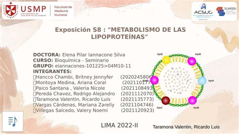 Exposici N S Metabolismo De Las Lipoprote Nas Mariana Zarelly