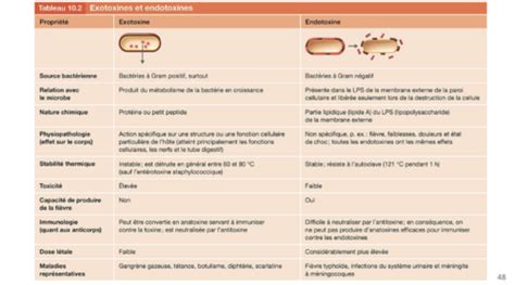 Cellule Bact Rienne Flashcards Quizlet