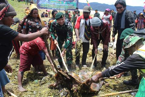 Galeri Foto Masyarakat Lanny Jaya Papua Meriahkan Hut Tni Ke Dengan