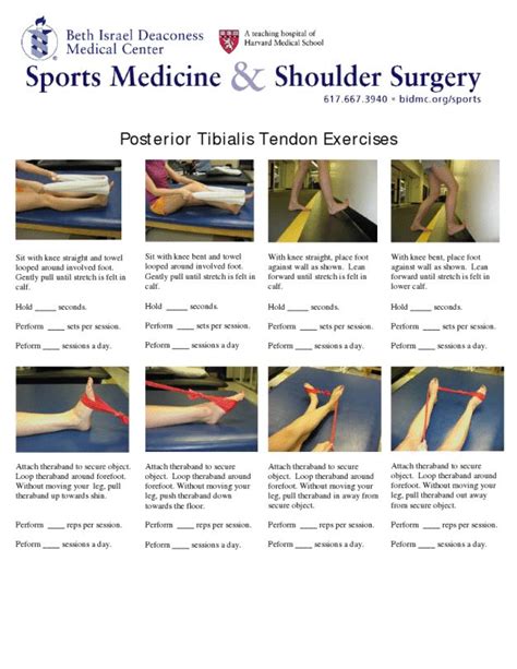 Posterior Tibialis Tendon Exercises Mobility Exercises Exercise