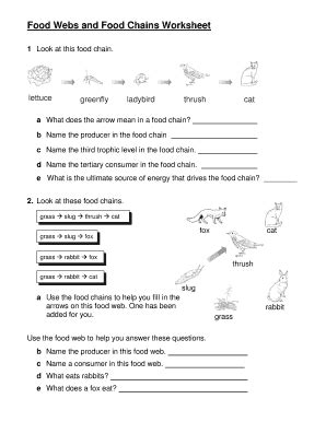 Fillable Online Food Webs And Food Chains Worksheet Fax Email Print