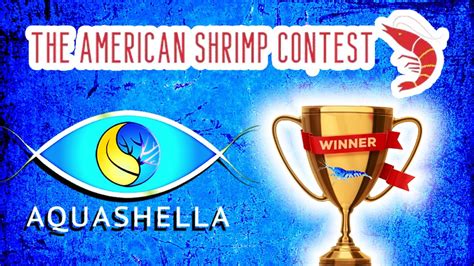 The American Shrimp Contest Aquashella Dallas Winners Youtube