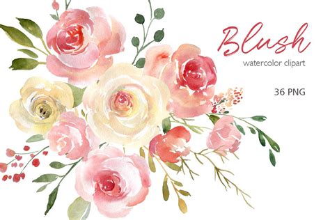 Blush Watercolor Flowers Roses Peony Pn Design Bundles