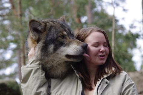 White Wolf : New Study Shows Dog (And Wolf) Kisses May Be Good for You