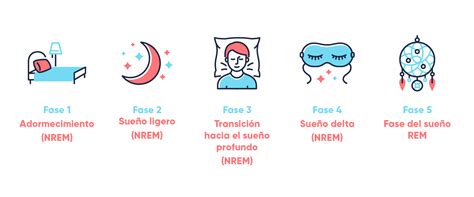 Fases del sueño Descubre qué son la REM y no REM