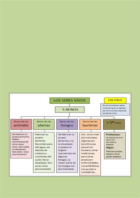 Los 5 Reinos De Seres Vivos Worksheet Ciencias De La Naturaleza