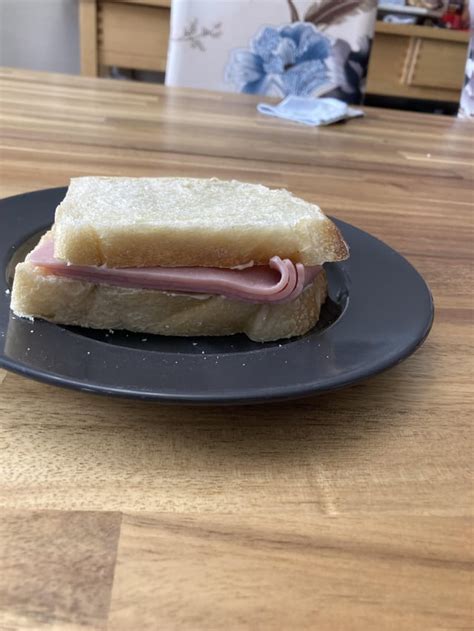 A ham and mayo sandwich bus yours truly : r/badfoodporn