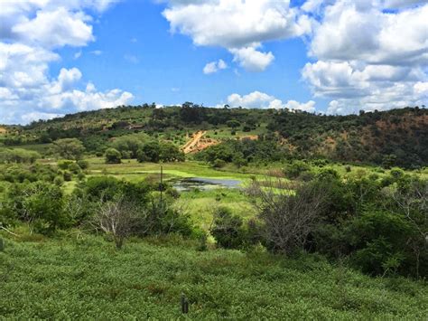 Fazenda Na Chapada Diamantina Bahia Rede Pindorama De Permacultura