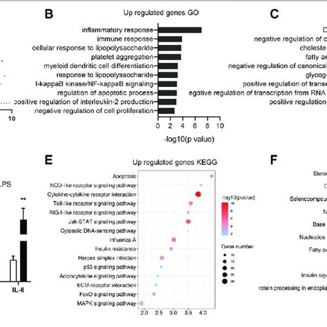 Identification Of Differentially Expressed Genes In Lps Treated Group