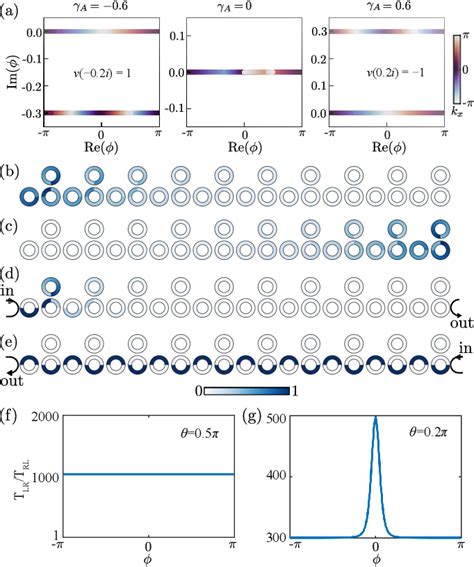 Figure From Anomalous Floquet Non Hermitian Skin Effect In A Ring