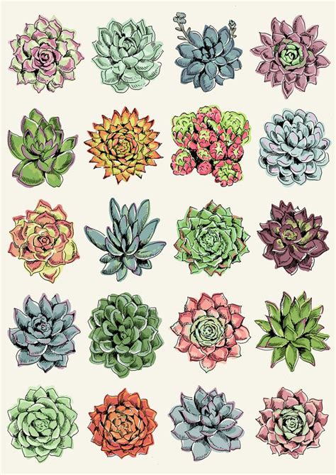 Vintage Aesthetic Succulent Aesthetic Stickers Best Succulent Ideas