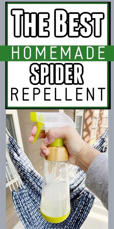 Homemade Spider Repellent Spray Spiders Repellent Homemade Bug Spray