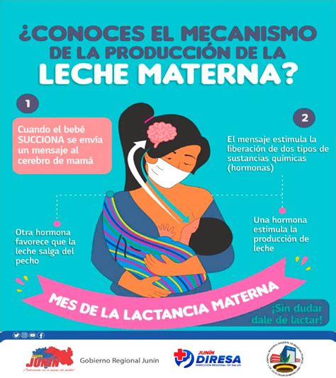 Conoces El Mecanismo De La Producción De La Leche Materna Hospital