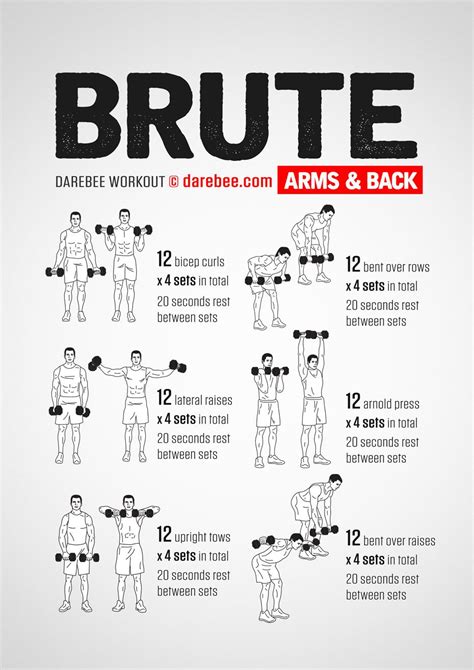 Brute: Arms & Back Workout | Strength training workouts, Dumbbell ...