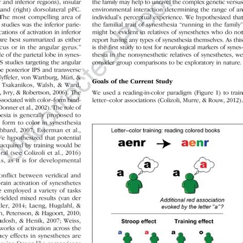 A Schematic Of The Reading In Color Paradigm Reading Books With