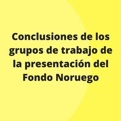 Conclusiones De Los Grupos De Trabajo De La Presentaci N Del Fondo Noruego