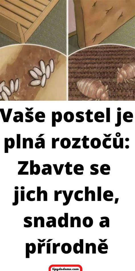 Vaše postel je plná roztočů Zbavte se jich rychle snadno a přírodně