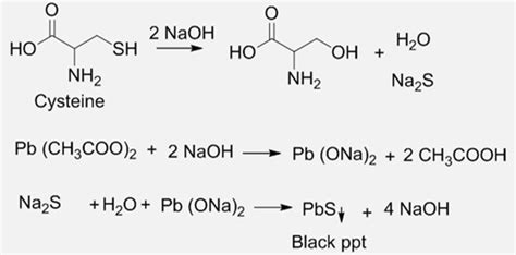 Lead acetate test (Lead sulfide test): Principle, Reaction, Reagents, Procedure and Result ...