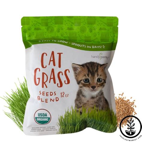 Organic Cat Grass Seeds Blend - Non-GMO Grass for Cats, Dogs & Pets ...