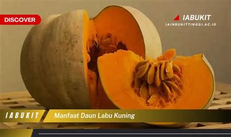 Bukan Cuma Daun Kemangi Ini Dia 7 Manfaat Daun Labu Kuning Yang Bikin