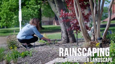 Rainscaping For A Healthier Landscape YouTube