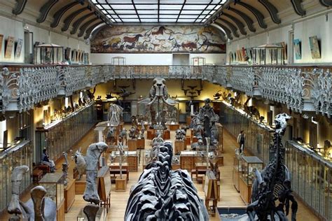 Best French National Museum Of Natural History Musee National D