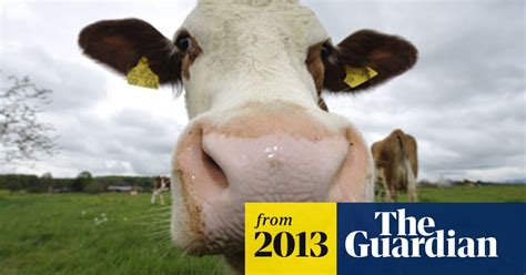 Greenhouse Gas Emissions From Livestock Can Be Cut By 30 Says Fao