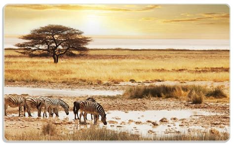 Wallario Fr Hst Cksbrettchen Glas Safari Afrika Eine Herde Zebras