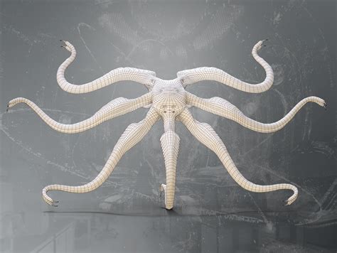 3d Model Trilobite Prometheus Vr Ar Low Poly Rigged Cgtrader