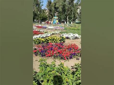 29-мектеп ауласы, Павлодар, Қазақстан - YouTube