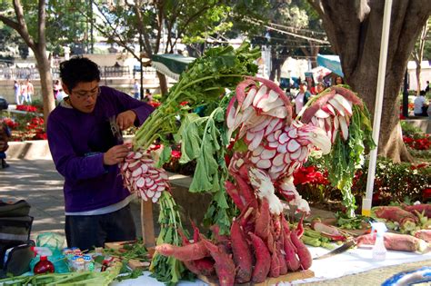 Night of the Radishes: Facts – Radish benefits